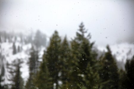 Cold weather ice