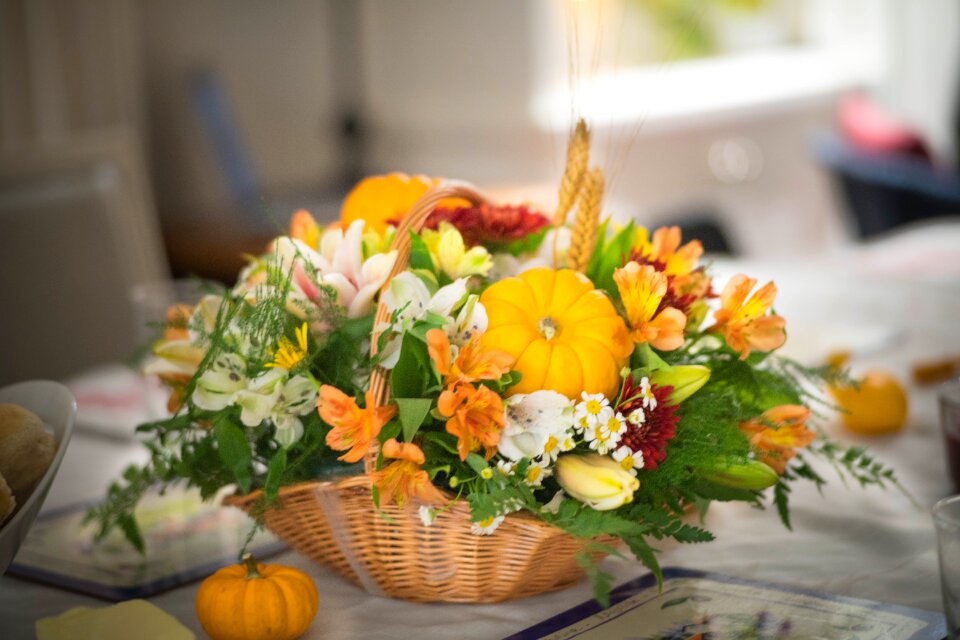Fall autumn harvest