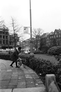 Verkeersbord Doe niet zo honds, Bestanddeelnr 924-0862
