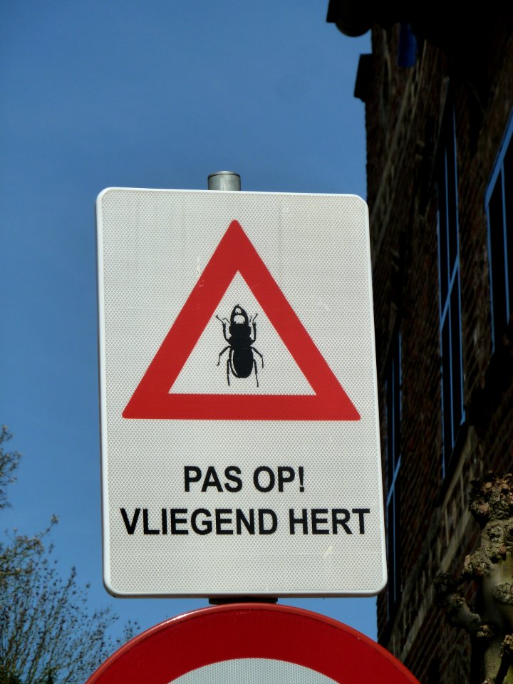 Verkeersbord vliegend hert