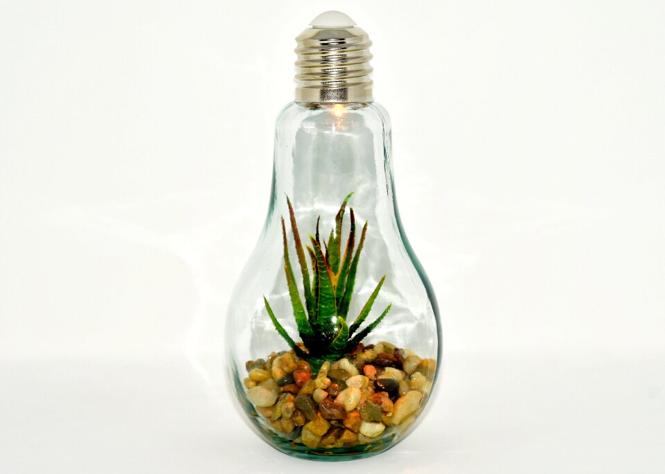 Arrangement lamp decoration