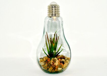 Arrangement lamp decoration
