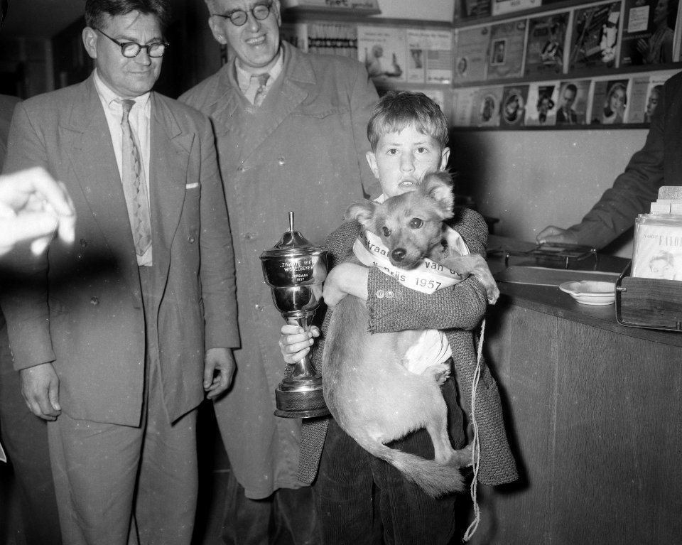 Verkiezing mooiste hond van de Jordaan Winnaar Maxie van Bennie Dijkhuysen , , Bestanddeelnr 908-8082