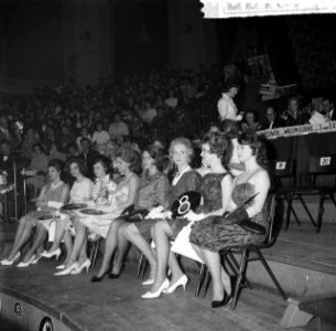 Verkiezing Miss Amsterdam, Bestanddeelnr 912-4111