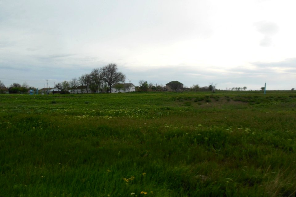 Verkhnezavorskoe 2