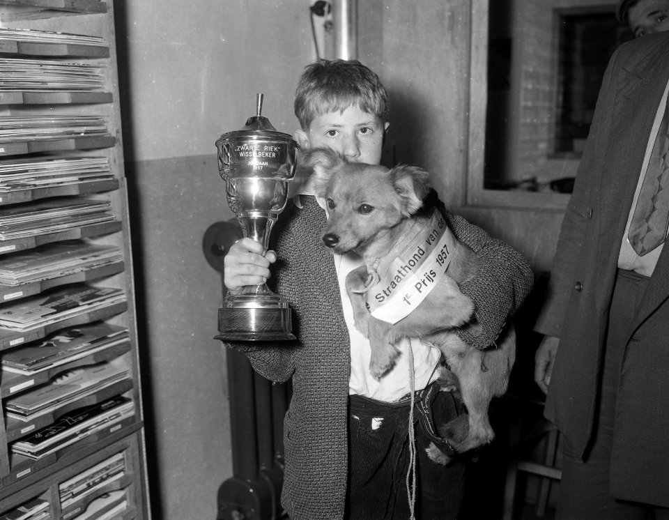 Verkiezing mooiste hond van de Jordaan Winnaar Maxie van Bennie Dijkhuysen , , Bestanddeelnr 908-8079