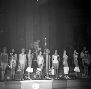 Verkiezing Miss Amsterdam, Bestanddeelnr 912-4116
