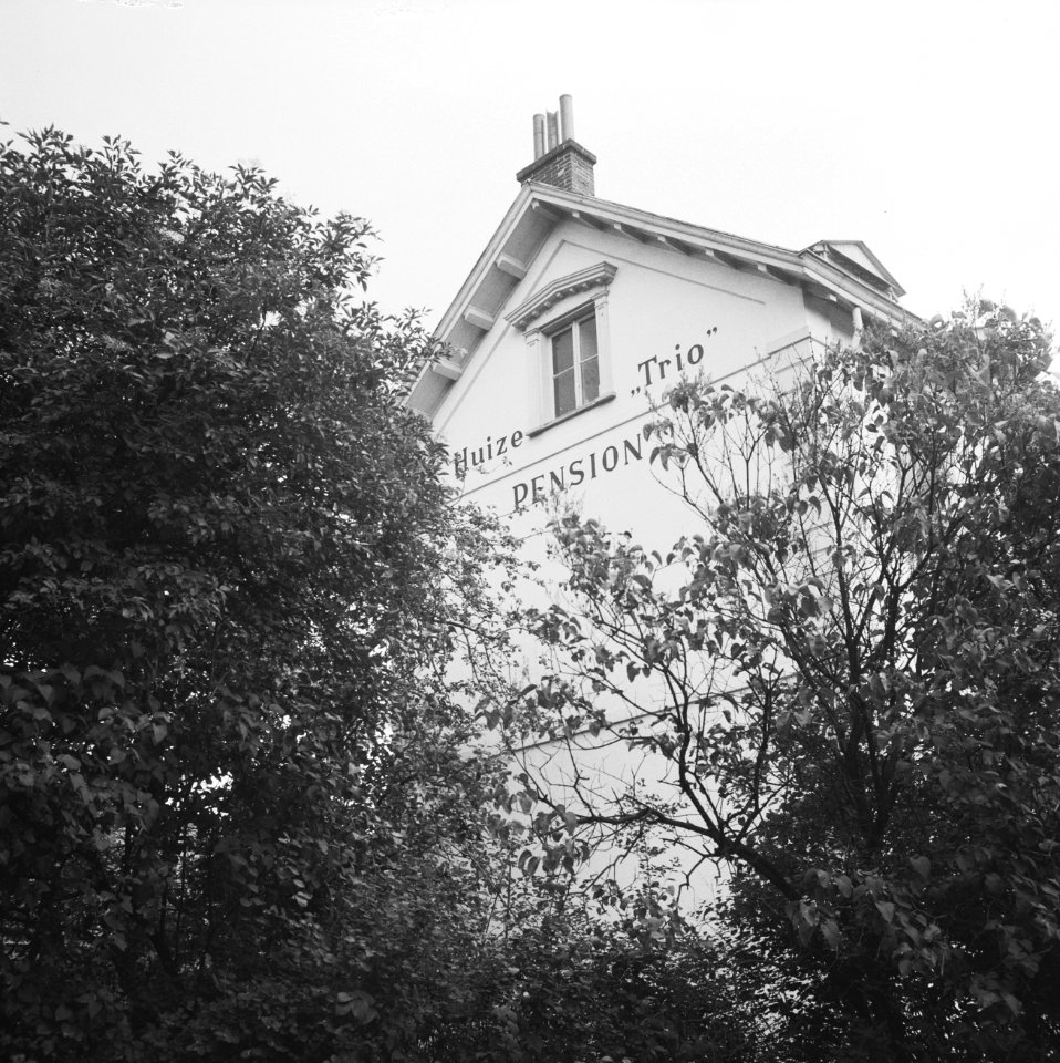 Verkiezing leden Eerste Kamer , woning Ir. H. Adams Huize Trio, Bestanddeelnr 934-6485