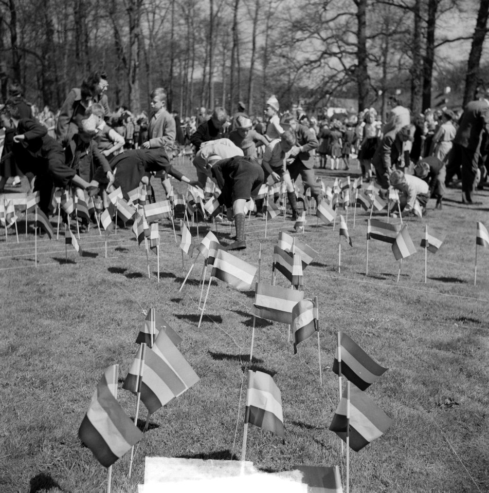 Verjaardag Koningin Juliana, Bestanddeelnr 903-9385