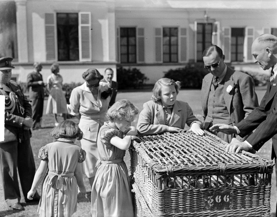 Verjaardag Koningin Juliana, Bestanddeelnr 903-9377