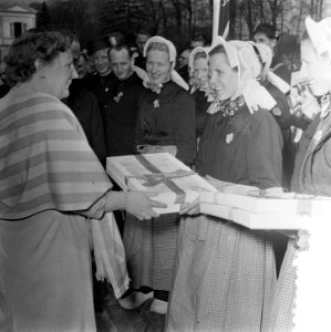 Verjaardag Koningin Juliana Soestdijk, defile, aanbiedi geschenk, Bestanddeelnr 906-4387