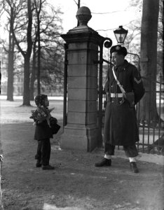 Verjaardag Beatrix, Soestdijk, Bestanddeelnr 902-0208