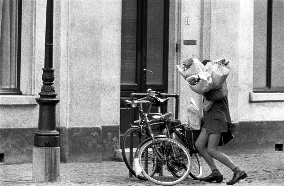 Verjaardag Hare Koninklijke Hoogheid Prinses Wilhelmina jongetje brengt bloemen , Bestanddeelnr 911-5503