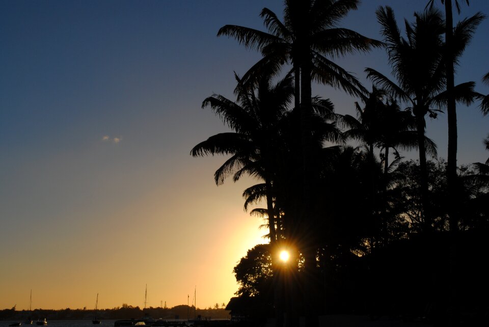 Beach mauritius sun photo