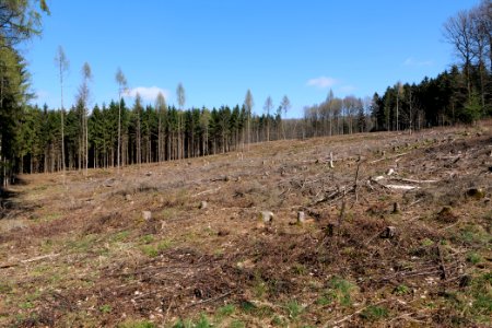 View from Limes trail Taunus Ockstadt 2021-04-02 04