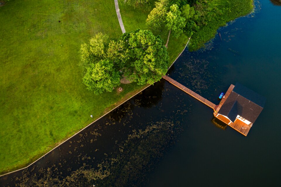 Water green field