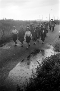 Vierdaagse Nijmegen, Bestanddeelnr 923-6888