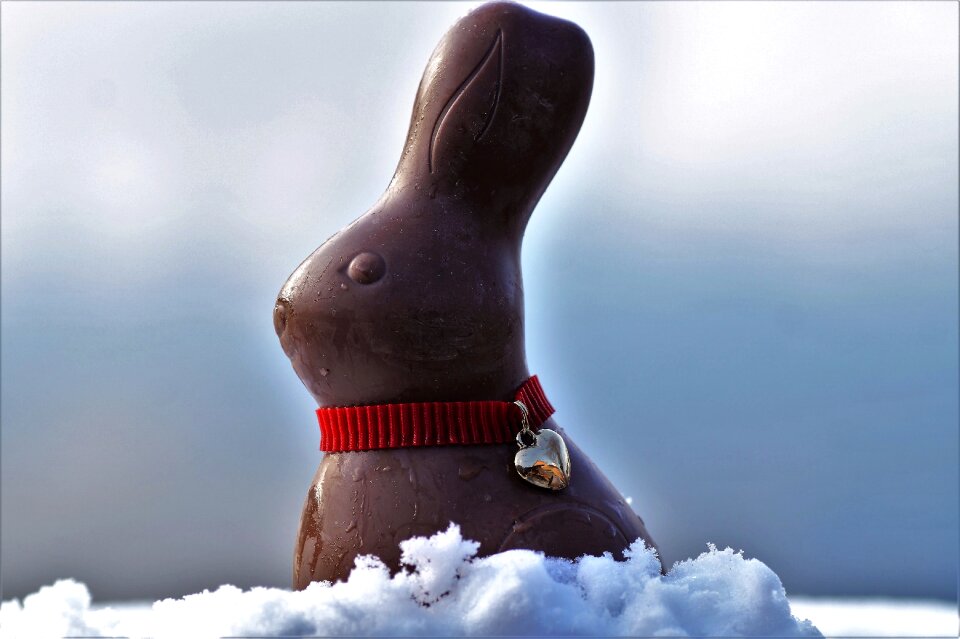 Hare the tradition of holidays