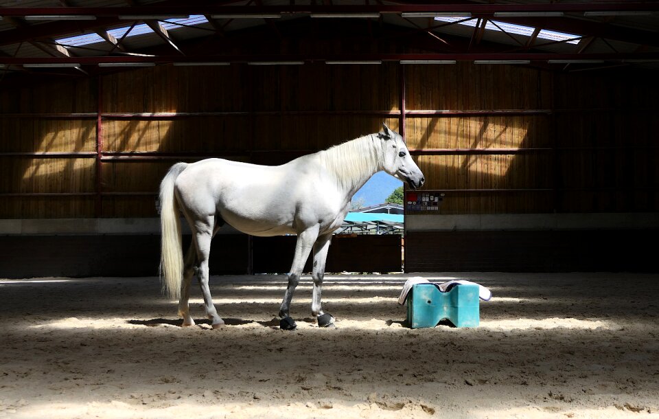Light contrast manege