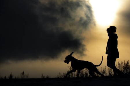 Silhouette man and dog great dane photo