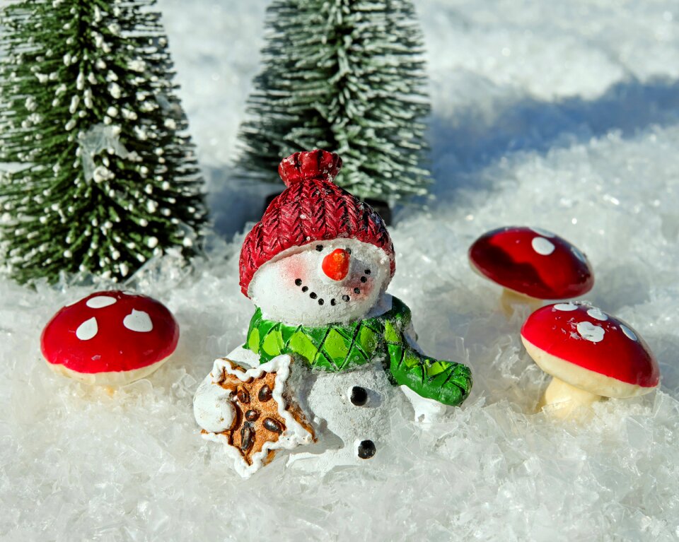 Sparkle winter cold