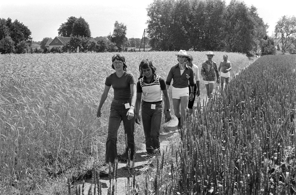 Vierdaagse wandeltocht om Apeldoorn, groep wandelaars tussen korenvelden, Bestanddeelnr 924-7310