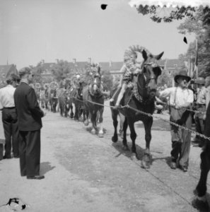 Vierde dag van het bezoek van Koning Boudewijn huldiging op het Vrijthof door de, Bestanddeelnr 910-5194