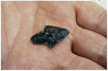 Vierduizend jaar oude speerpunt op de hand van archeoloog Erik Jacobs. NL-HlmNHA 54037332 2