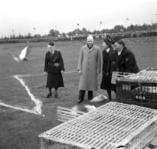 Viering 35 jarig bestaan N.P.G. (Nederlands Padvindsters Gilde) Jubeldag op de, Bestanddeelnr 904-5717