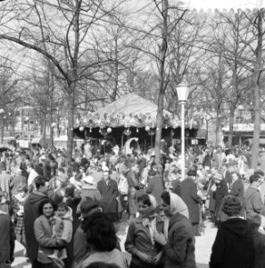 Viering Koninginnedag aan het Korte Voorhout te Den Haag, Bestanddeelnr 911-2011