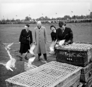 Viering 35 jarig bestaan N.P.G. (Nederlands Padvindsters Gilde) Jubeldag op de, Bestanddeelnr 904-5715