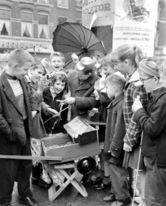 Viering Koninginnedag in Rotterdam, Bestanddeelnr 910-3440