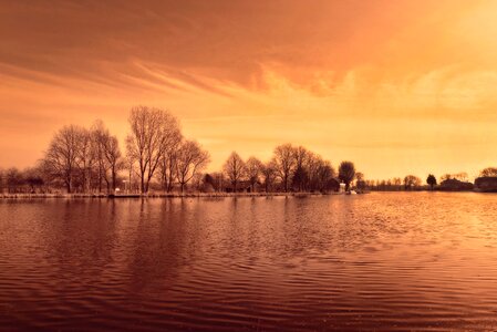 Banks trees view