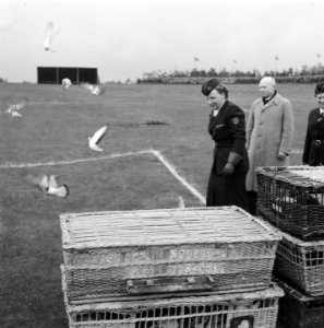 Viering 35 jarig bestaan N.P.G. (Nederlands Padvindsters Gilde) Jubeldag op de, Bestanddeelnr 904-5709