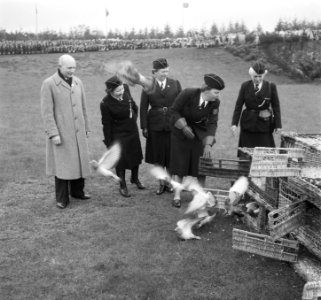 Viering 35 jarig bestaan N.P.G. (Nederlands Padvindsters Gilde) Jubeldag op de, Bestanddeelnr 904-5718