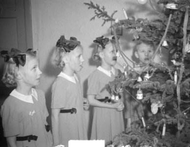 Vierling Kiffers Rini, Dicky, Elly en Han bij kerstboom, Bestanddeelnr 904-3540