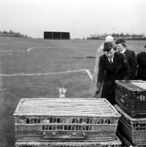Viering 35 jarig bestaan N.P.G. (Nederlands Padvindsters Gilde) Jubeldag op de, Bestanddeelnr 904-5714