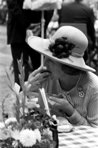 Viering Zilveren Regeringsjubileum van Koningin Juliana in Den Haag , Prinses Be, Bestanddeelnr 926-6654