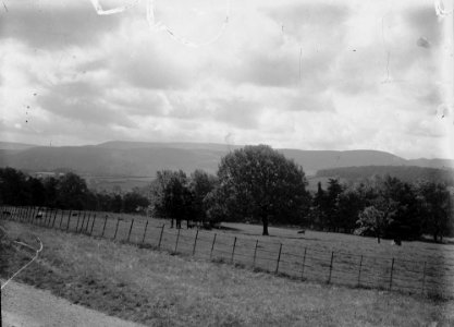 View (1295146)