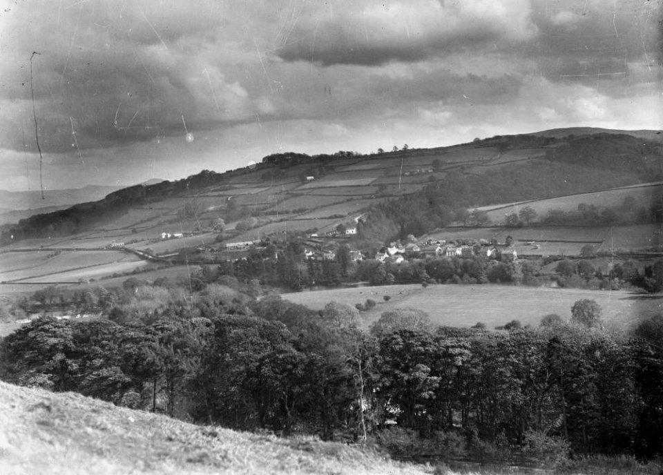 View (1294537)