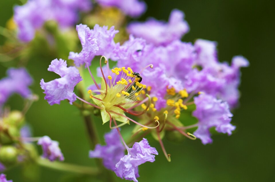 Spring summer floral