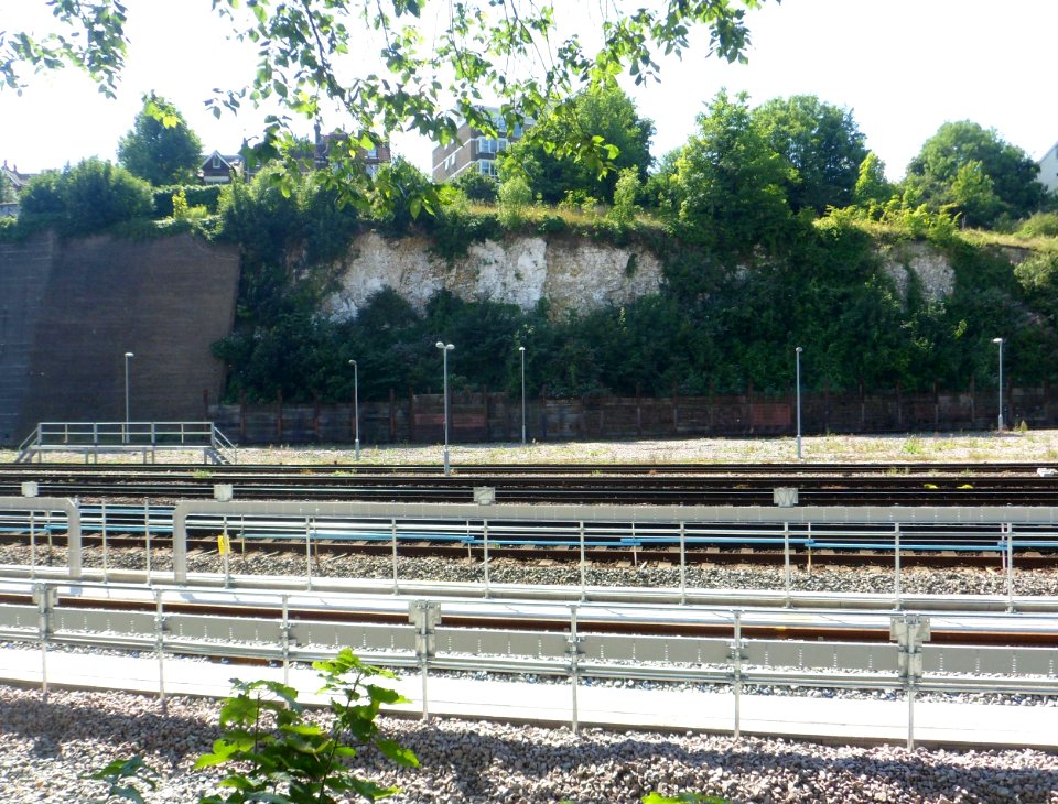 View across Brighton Main Line and Sidings from The Rockery, Preston Park, Brighton (August 2013) (2)