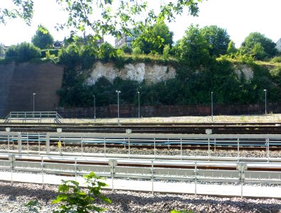 View across Brighton Main Line and Sidings from The Rockery, Preston Park, Brighton (August 2013) (2)
