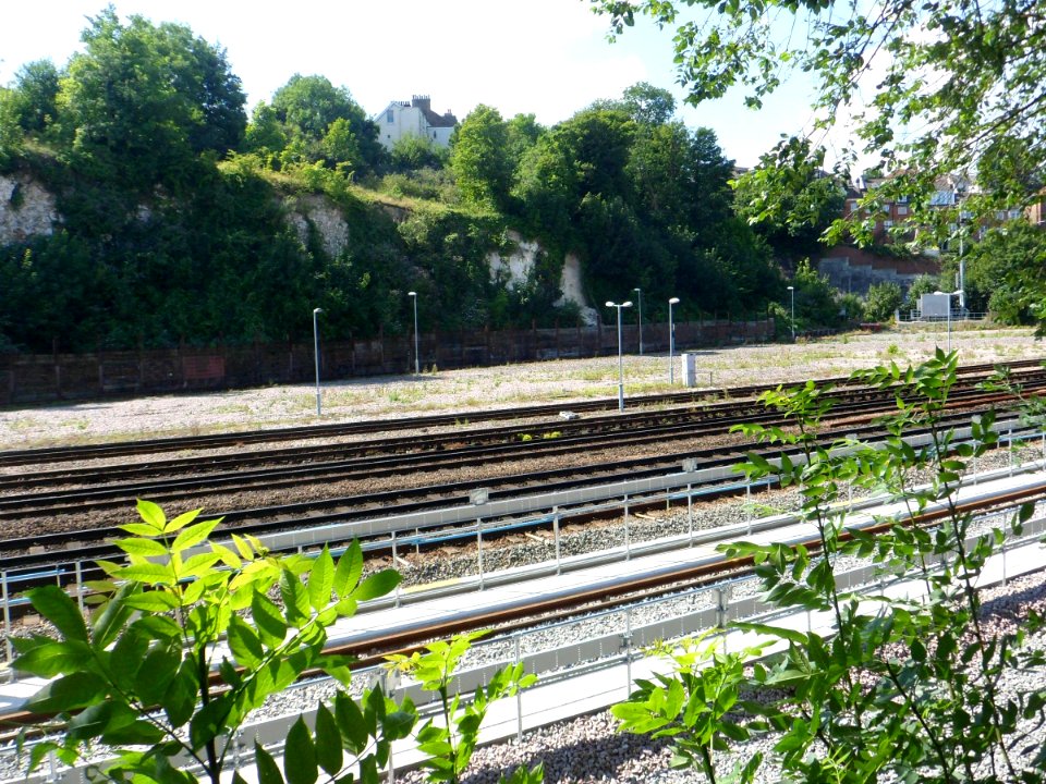 View across Brighton Main Line and Sidings from The Rockery, Preston Park, Brighton (August 2013) (1)