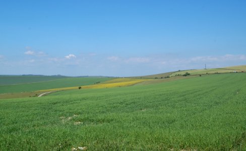 View across South Downs from Drove Road, Woodingdean (May 2020) (2)