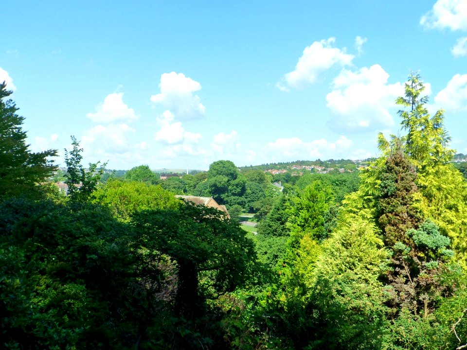 View across Preston Park from Highcroft Villas, Prestonville (August 2013) (2)