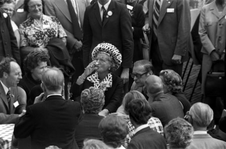 Viering Zilveren Regeringsjubileum van Koningin Juliana in Den Haag , Hare Majes, Bestanddeelnr 926-6655