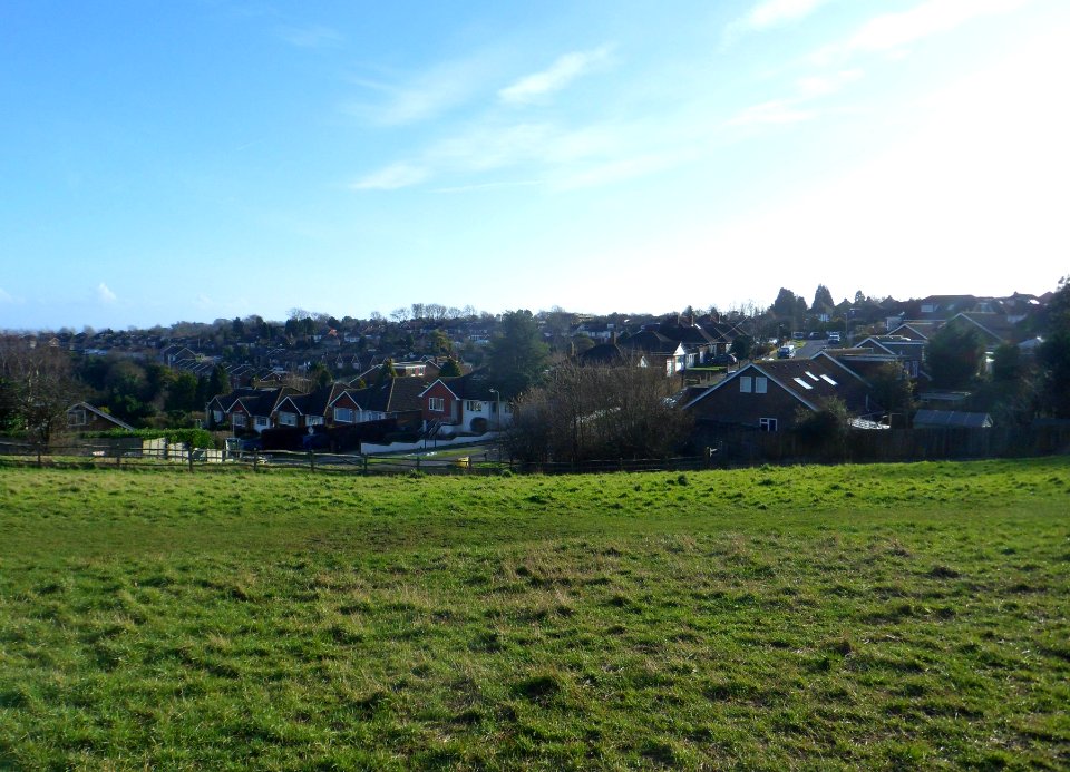 View across Westdene from Top of Mill Rise, Westdene (February 2014)
