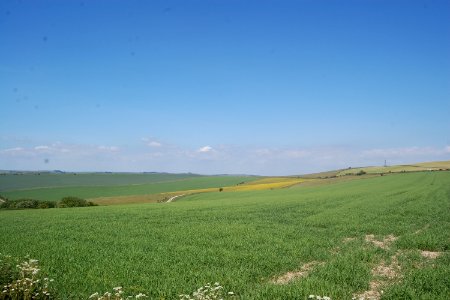 View across South Downs from Drove Road, Woodingdean (May 2020) (4)