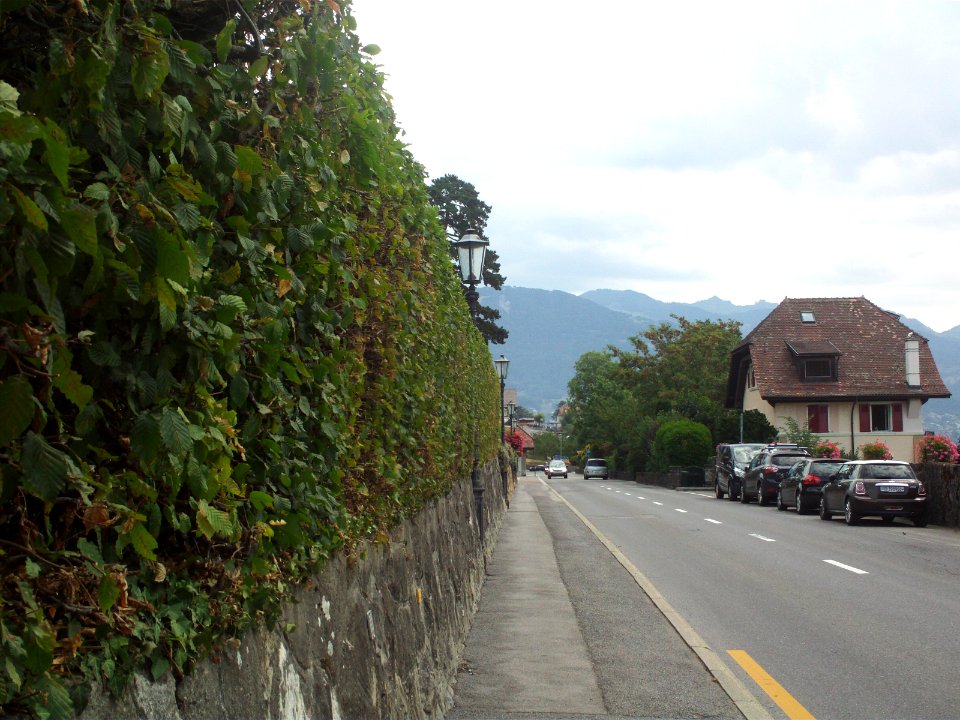 View along Route de Bellevue in Chardonne
